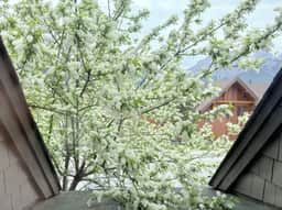 Premium 2-Bedroom Townhouse+ Mountain Views - Image 3